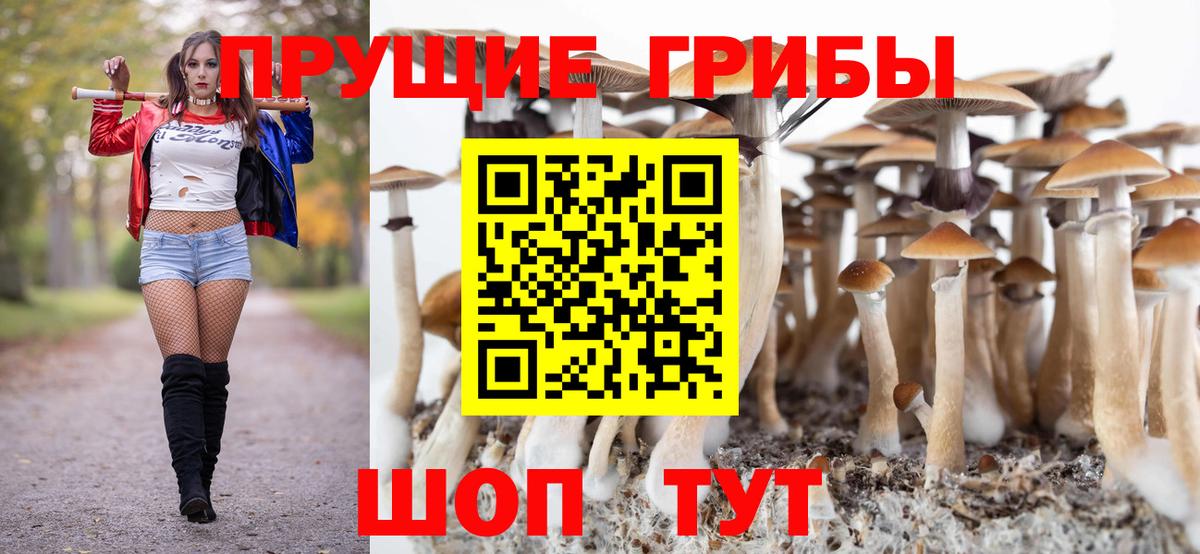 Галлюциногенные грибы Psilocybine cubensis Губкин