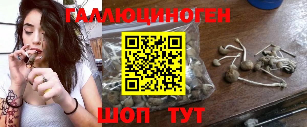 Псилоцибиновые грибы GOLDEN TEACHER  Вход с VPN  Губкин 
